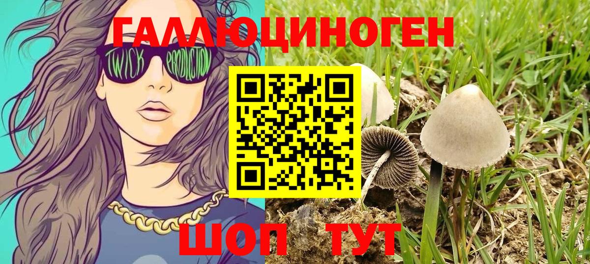 Галлюциногенные грибы прущие грибы Ишим